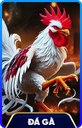 78WIN ⚽️ Trang Chủ Chuẩn Chính Thức 78WIN.COM Tặng 79K 2026 3 da ga 78win school